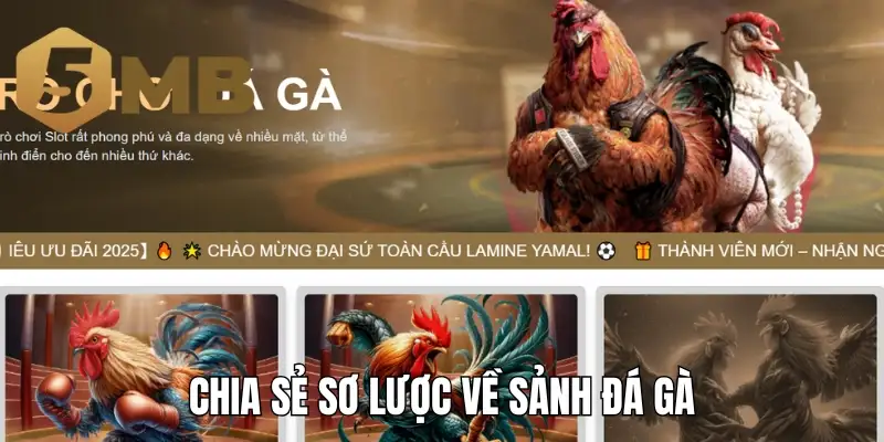 Chia sẻ sơ lược về sảnh đá gà